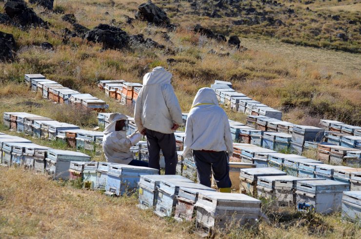 Süphan Dağı'nın 2 bin 300 rakımında bal üretimi