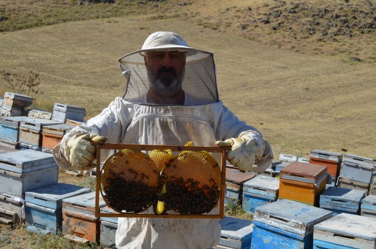 Süphan Dağı'nın 2 bin 300 rakımında bal üretimi