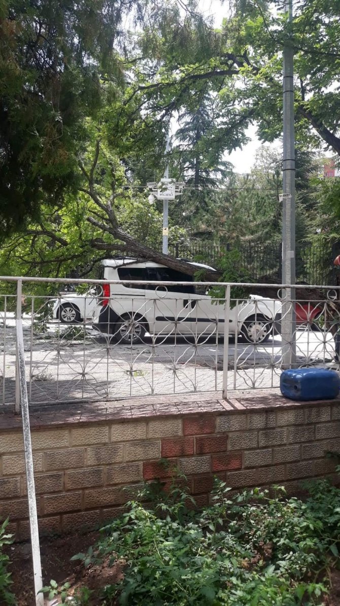 Ağaç kırıldı, seyir halindeki otomobilin üzerine düştü