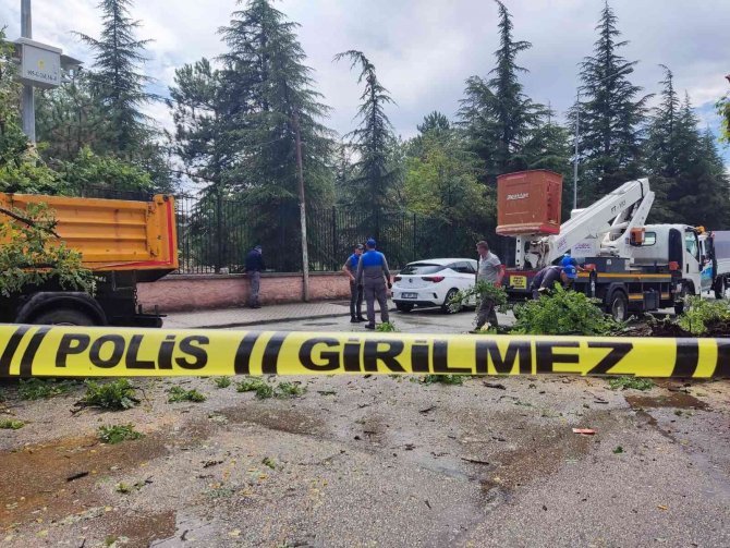 Ağaç kırıldı, seyir halindeki otomobilin üzerine düştü