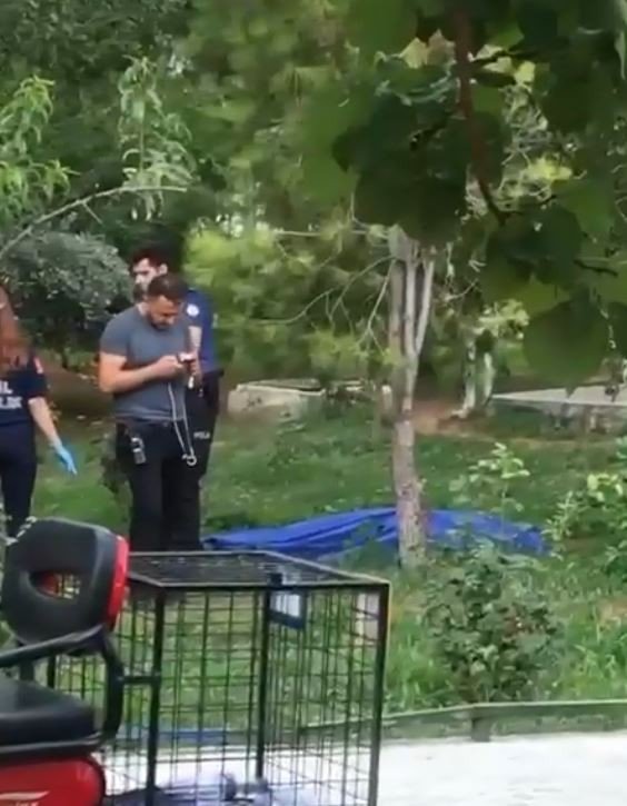 Bu sefer brandanın üzerine atlamadı, canına kıydı