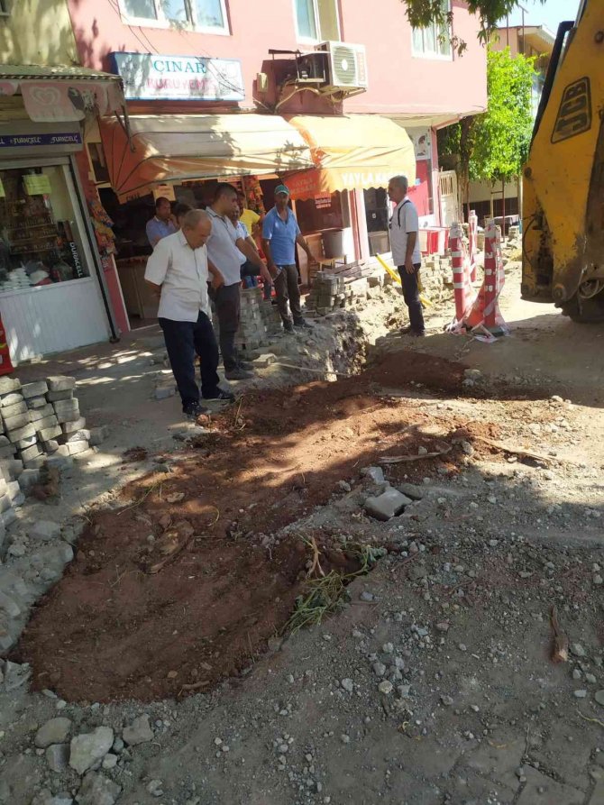 Çınar ağacının kökleri toprakla kapatıldı