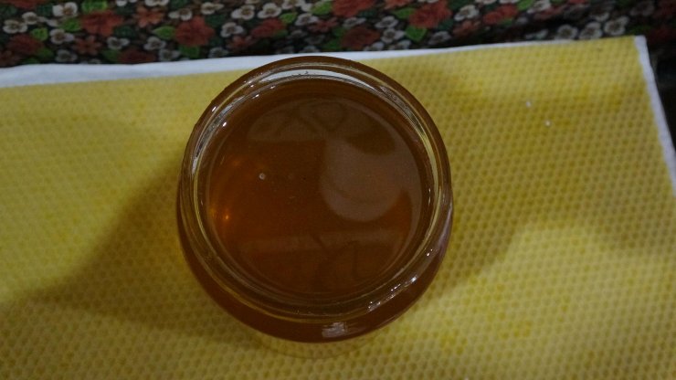 ‘Kuraklıkla acı balda zehir etkisi arttı’