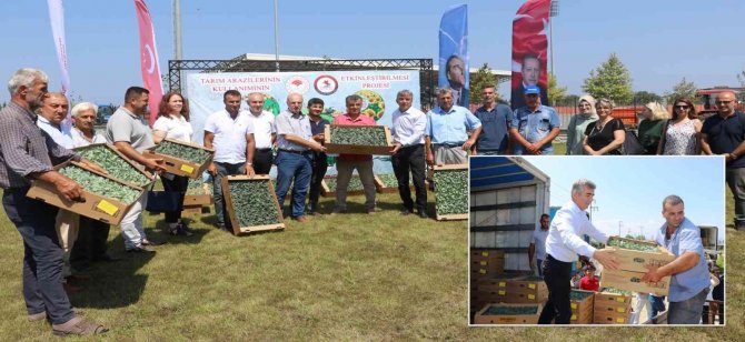 Samsun’da 687 bin kışlık sebze fidesi dağıtıldı