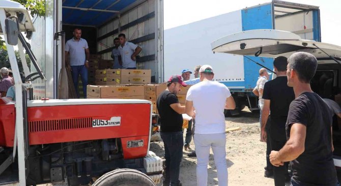 Samsun’da 687 bin kışlık sebze fidesi dağıtıldı