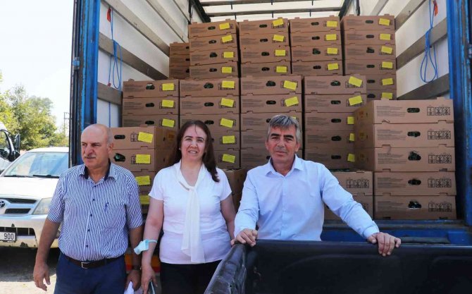 Samsun’da 687 bin kışlık sebze fidesi dağıtıldı