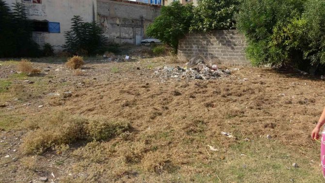 Yeni doğan bebeği tarlaya bırakmışlar