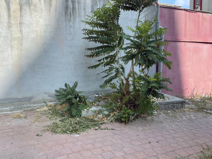 4’üncü kattan düşen 7 yaşındaki Alkas, ağır yaralandı