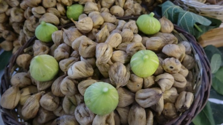 Aydın'ın kuru incirinde 75 bin ton rekolte beklentisi