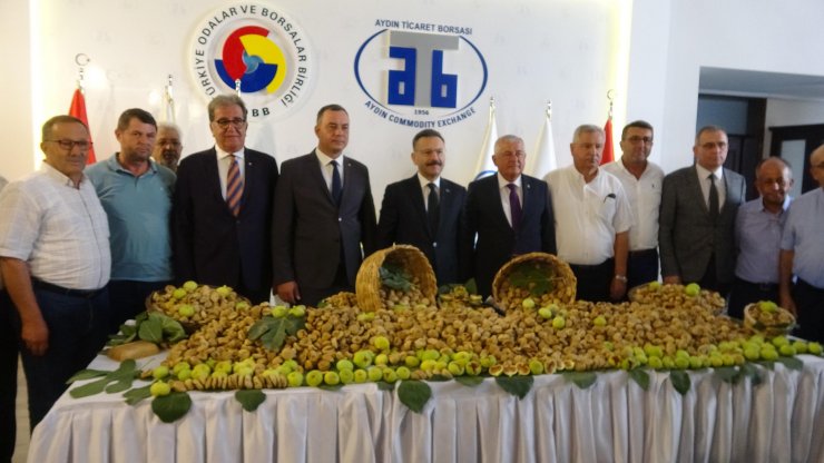 Aydın'ın kuru incirinde 75 bin ton rekolte beklentisi