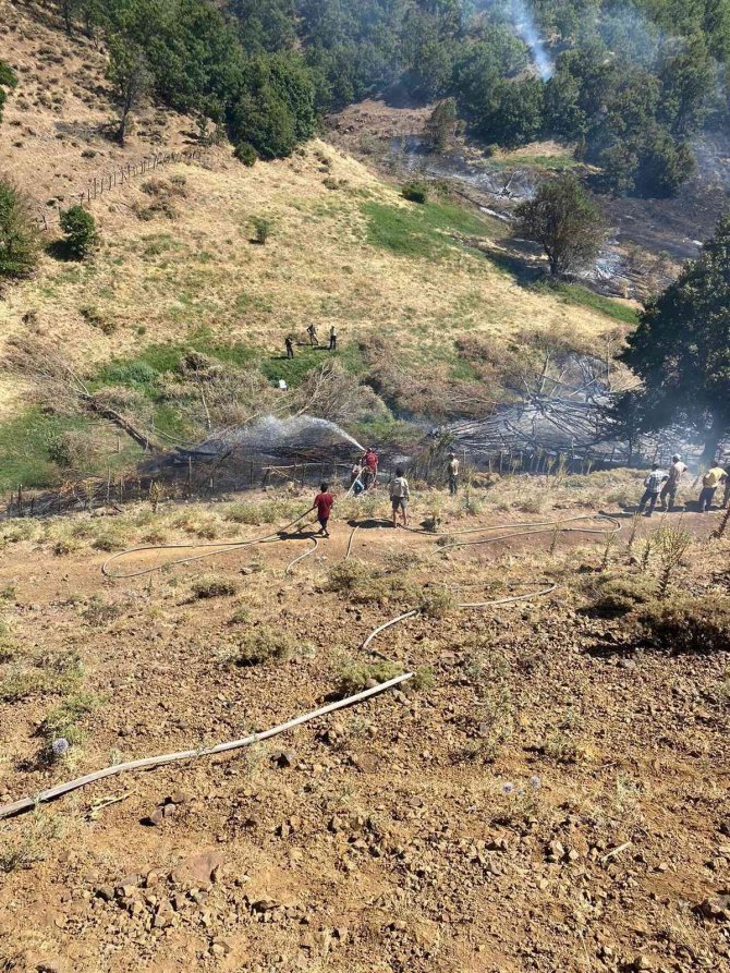 Bingöl’de çıkan orman yangını büyümeden söndürüldü