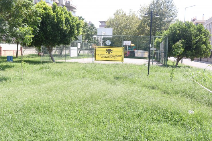 Bir haftada 8 köpek öldü