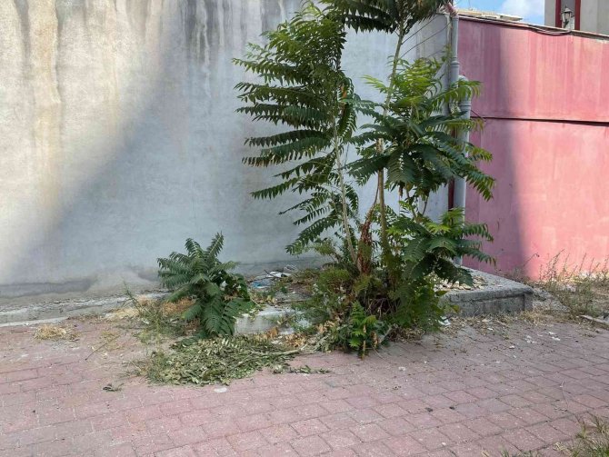 Dördüncü kattan düşen çocuk ağır yaralandı