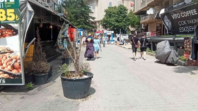 Duyarsız vatandaşlar bitki saksısını çöplük yaptı