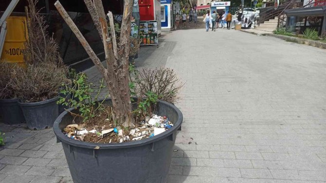 Duyarsız vatandaşlar bitki saksısını çöplük yaptı