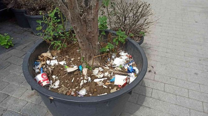 Duyarsız vatandaşlar bitki saksısını çöplük yaptı