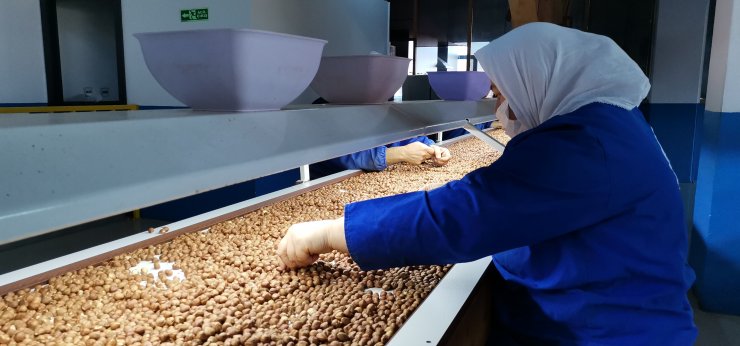 Fındıkta 2 milyar dolarlık ihracat hedefi