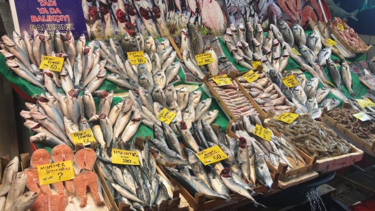 İstanbul'da sezonun ilk palamutları tezgaha çıktı