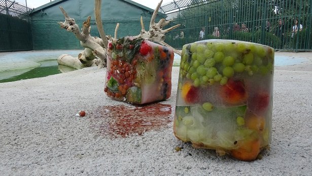 Konya’da termometreler 41 dereceyi buldu! Sıcaktan bunalan hayvanlara buzlu meyve ikramı