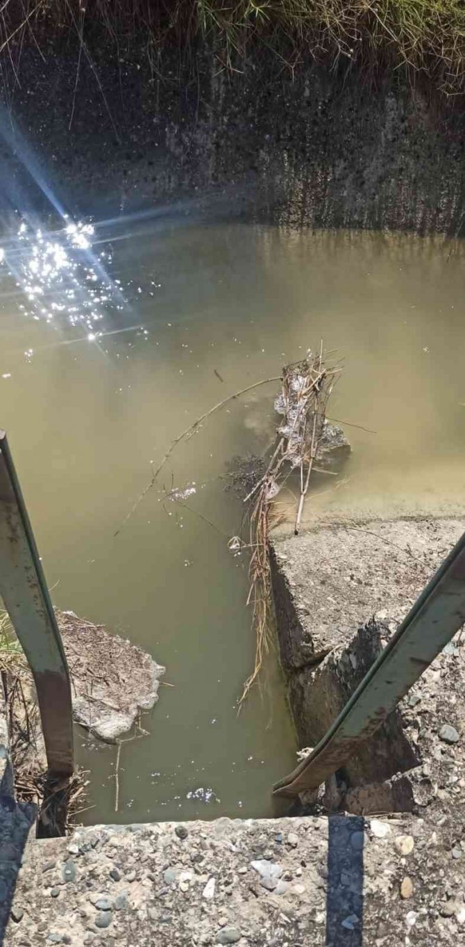 Susuz kalan yüzlerce dönümdeki mahsuller kurudu