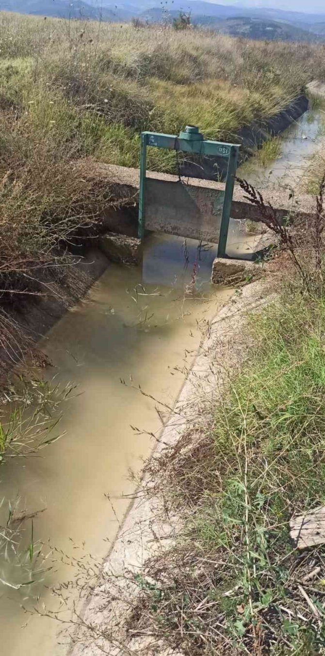Susuz kalan yüzlerce dönümdeki mahsuller kurudu