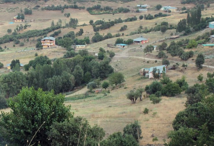 Yaban hayvanının ısırdığı inek kuduz çıktı, köy karantinaya alındı