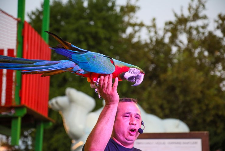 Antalya’da 48 ülkeden çocukların katılımıyla festival düzenlendi