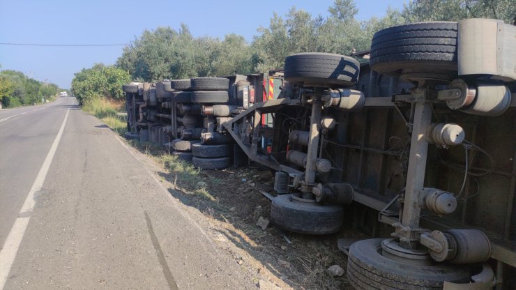 Bursa'da TIR devrildi; yüzlerce tavuk öldü