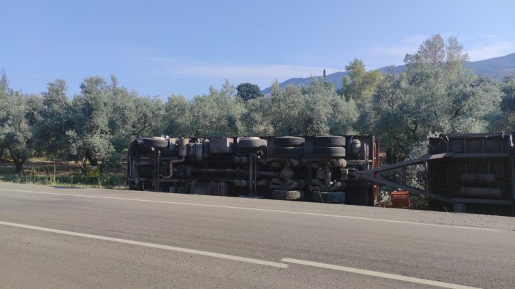 Bursa'da TIR devrildi; yüzlerce tavuk öldü