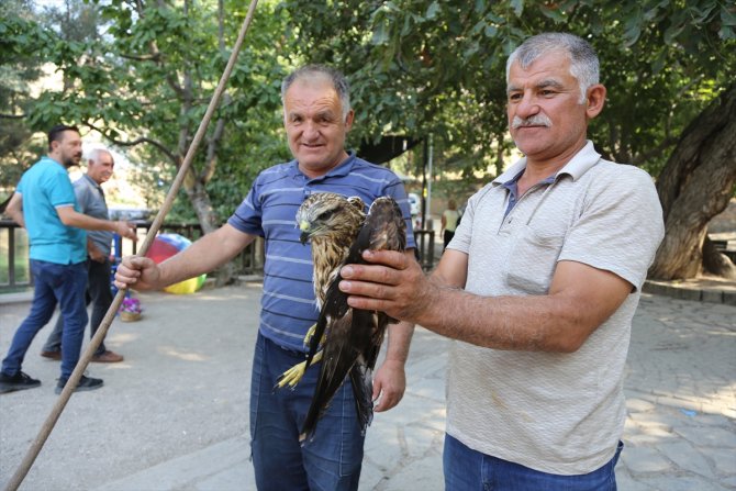 Konya'da bitkin halde bulunan şahin yavrusu koruma altına alındı