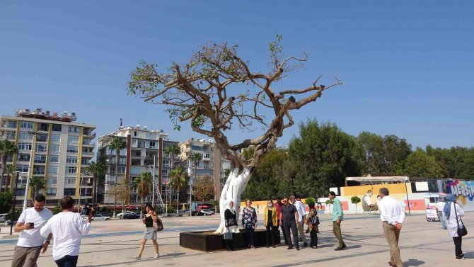 O ağaç yeşermeye başladı