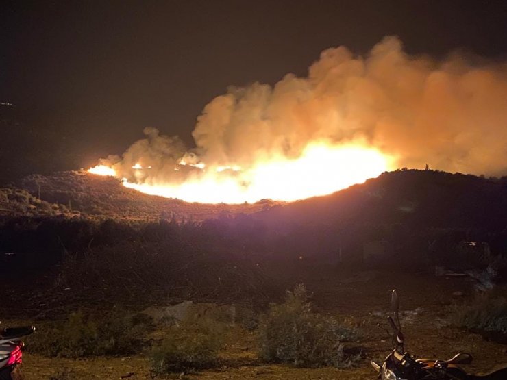 Aydın'da orman yangını