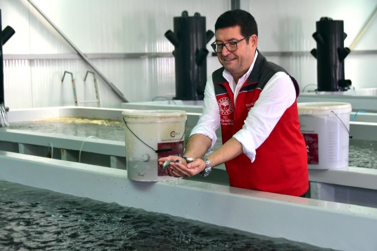 Balık ihracatında 7 ayda 463 milyon dolarlık gelir elde edildi