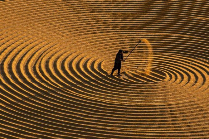 En güzel hasat mevsimi fotoğrafları aranıyor