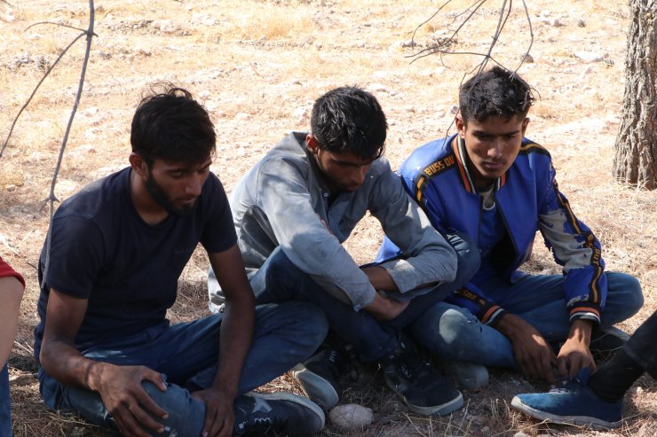 Fıstık bahçesinde saklanan 28 kaçak göçmen yakalandı