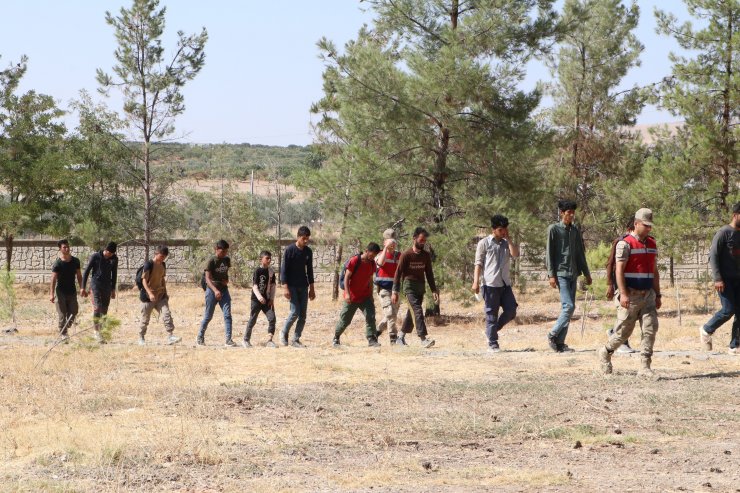 Fıstık bahçesinde saklanan 28 kaçak göçmen yakalandı