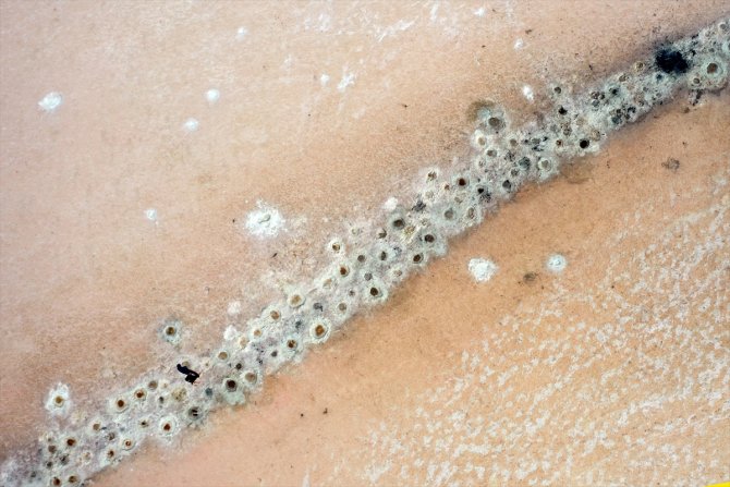 Küresel su sorununa dikkat çekmek için Tuz Gölü'nde maraton koştu