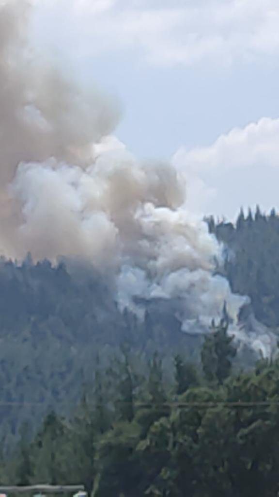 Bursa'da orman yangını