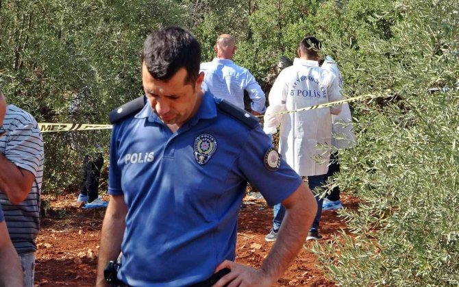 Erzincanlı gencin cansız bedeni zeytinlik alanda bulundu
