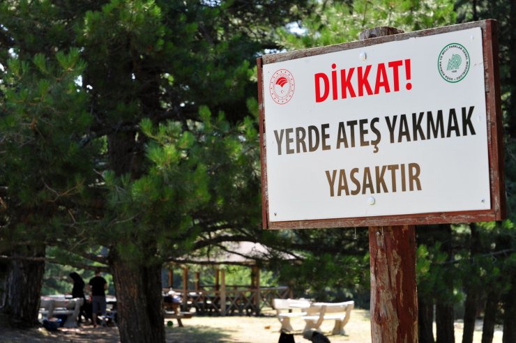 Mangal yasağı piknikçileri küstürdü ama yaban hayatı canlandı