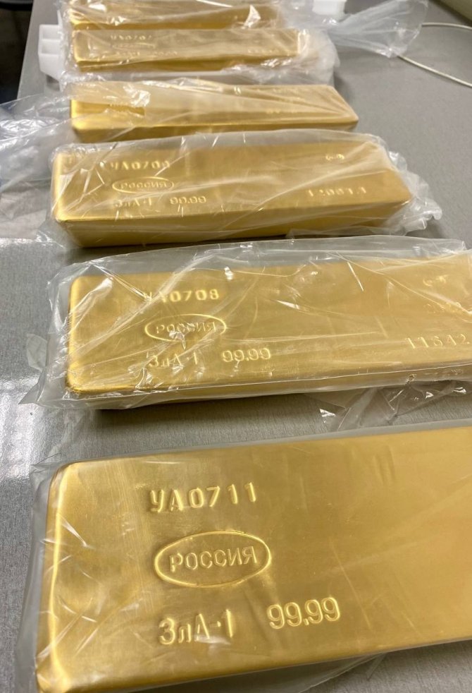 Moskova’da havaalanında 225 kilogram kaçak altın ele geçirildi