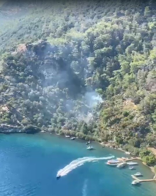 Orman yangını büyümeden söndürüldü