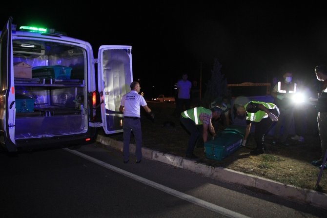 Otomobilin çarptığı anne-oğul hayatını kaybetti