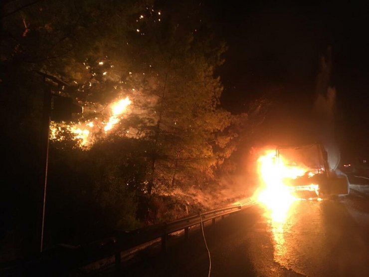 Yolcu otobüsündeki yangın, ormana sıçradı