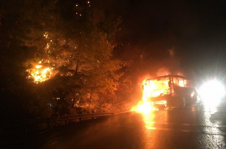 Yolcu otobüsündeki yangın, ormana sıçradı