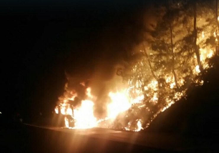 Yolcu otobüsündeki yangın, ormana sıçradı