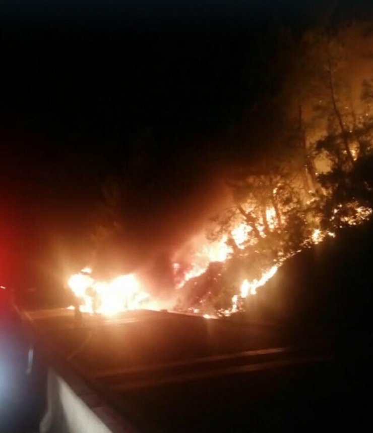 Yolcu otobüsündeki yangın, ormana sıçradı