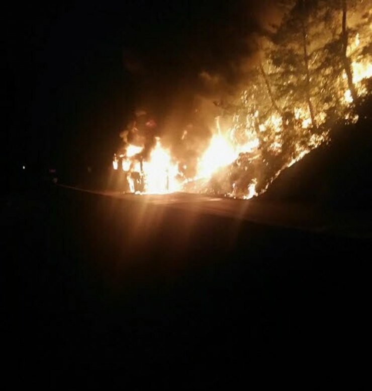 Yolcu otobüsündeki yangın, ormana sıçradı