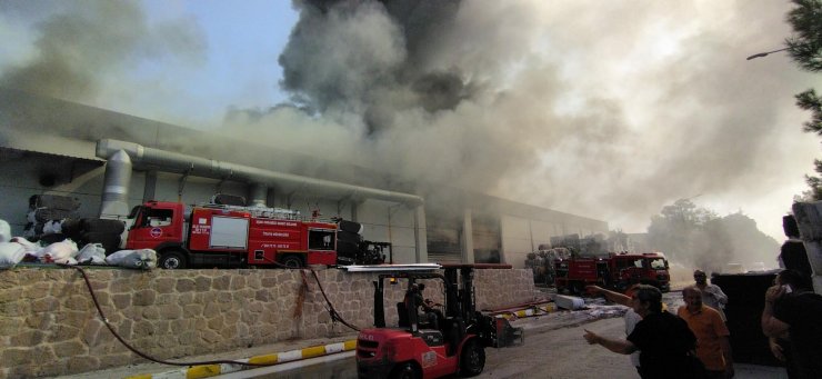İplik fabrikasında yangın