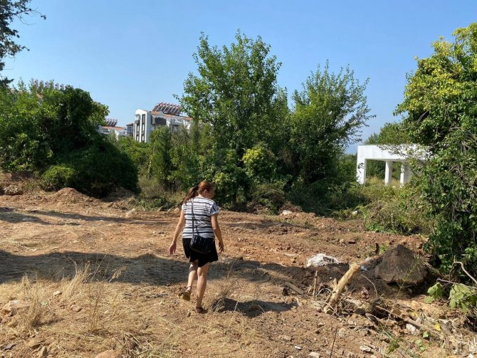 Antalya’da 20 köpeğin zehirlendiği ihbarı